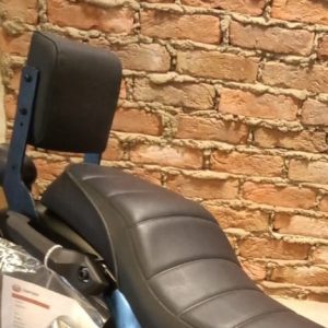 Backrest
